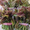 내동농장 이미지