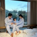 31140-14-37-49 | 아기 파자마 추천 도씨 클로에 실크핏 패밀리 잠옷 후기