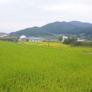 지족공인중개사사무소 이미지