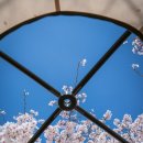 세월산장 | 밀양 캠핑장 추천 ✔️ 구만산장캠핑장 벚꽃캠핑 명당자리 이용 후기