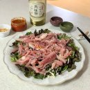 서울에서 향어회 즐기는법 쩐원마켓 향어회 맛, 가격 후기