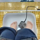 디톡하우스 이미지