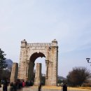 풍년건강원 | 독립문 영천시장 도깨비 손칼국수 가성비 시장맛집