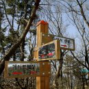 개골농장 이미지