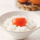 더블유인더블유스페이스(주) | 일본 오사카 유니버셜 스튜디오 앞 숙소 <오리엔탈 호텔 유니버설 시티>