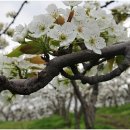 발;담그다