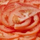 토마토포차 이미지