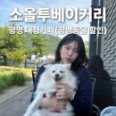 광명 대형카페 소올투베이커리 (광명동굴할인 반려동물동반 후기)