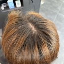 탐라중학교 | 제주시 염색 아라이동 미용실 오라이 추천