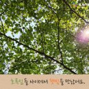 푸르지오숲어린이집 이미지
