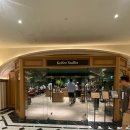 신세계 백화점 강남점 커피맛집 Koffee Sniffer 커피스니퍼