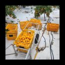 신세계농장 이미지