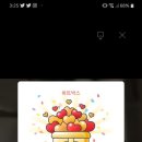 지데이 이미지