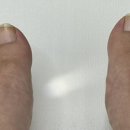 손블링블링