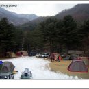 길손과 풀꽃 이미지