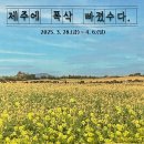 1박2일 제주도 한바퀴 여행 애월카페 로우하이 애월점 후기