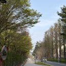 서구-02-64 | 대전 이응노미술관 전시 정보 총정리 🎨 상설전 + 기획전 '연민' 후기