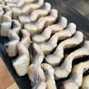 섬진강 민물장어 이미지