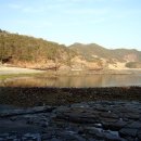 고성자연사박물관 이미지