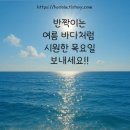 6 이미지