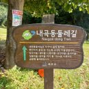 내곡동-4 이미지