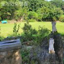 돌기와 토담집 이미지