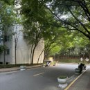 석계초등학교 정문 이미지