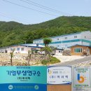등불기업 이미지