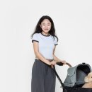 토토애견 이미지