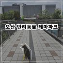 환경사업소 | 오산 반려동물테마파크 강아지가 행복한 뛰뛰운동장 다 좋은데 단점은?
