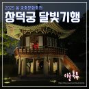 궁중 | 2025 봄 궁중문화축전 후기 3 (창덕궁 달빛기행)