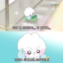 [일상]202년 9월 내가 제일 좋아하는 계절 가을의 시작