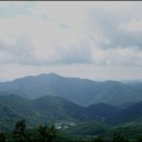 종주농장 이미지