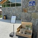 홍천산양목장 이미지