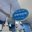 광희네선어