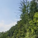 호명산캠프 이미지