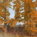 우림스모프치킨 이미지