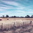 해피민박 이미지