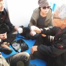 청마문학관 이미지