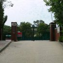 광성초등학교 이미지