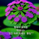 엄지발가락의 소중함 - 엄지발가락을 만지자 이미지