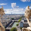 정이네유통 이미지