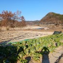 계백로(유등교-서대전네거리) 이미지