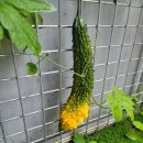 갤러리&펜션 풍경소리 | 가족 넷이서 다녀온 양양독채펜션 풍경소리, 한옥 감성 제대로 느낀 후기