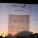 쏭트리밍 이미지