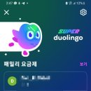91 | 영어공부, 듀오링고 후기 91일차
