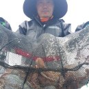 오늘도 여수 이미지