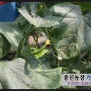 종진농장 이미지