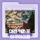 대전 신세계 아쿠아리움 강추천! - 대전 엑스포 아쿠아리움 솔직후기!