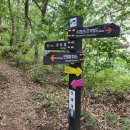 마이종합학습장 이미지